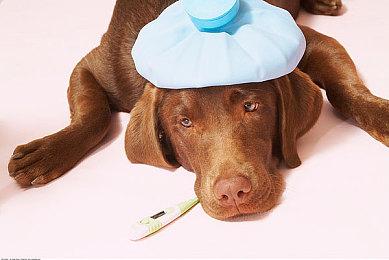 高能电玩节：《高尔夫大乱斗》现已开启第二轮免费Playtest